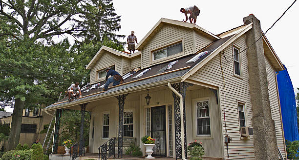 Roof Gutter Cleaning in Montgomery, IL
