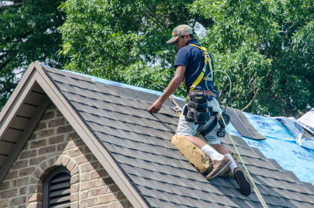 Best Metal Roofing Contractor  in Montgomery, IL